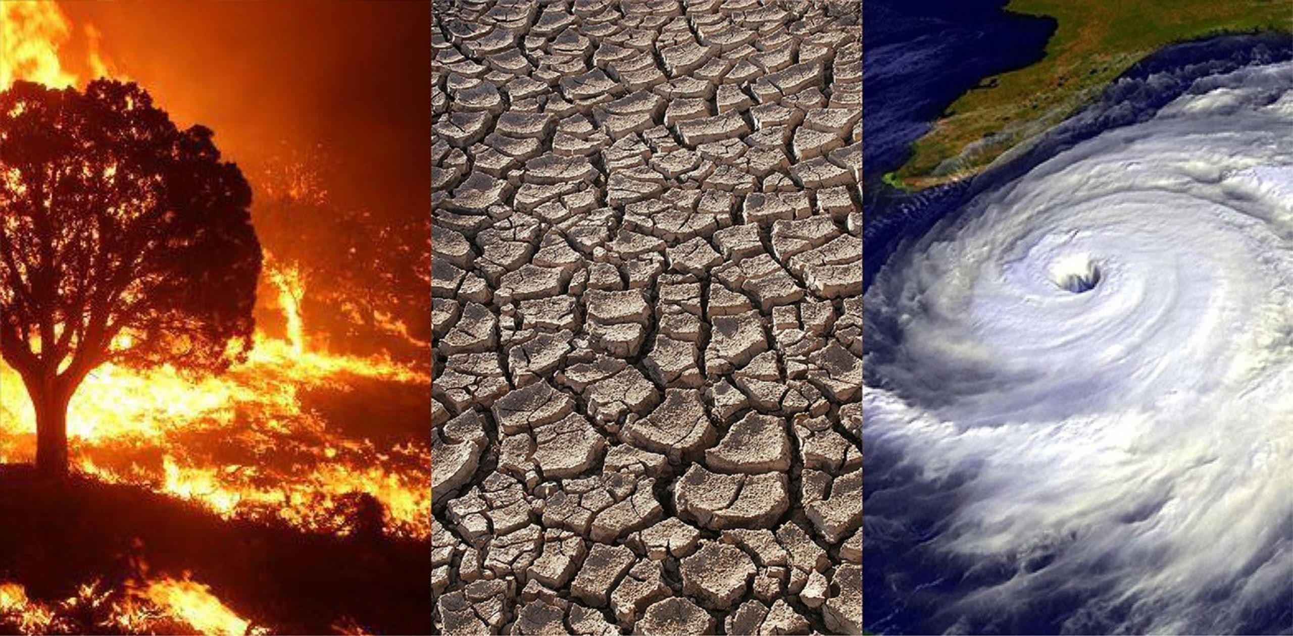 محكمة العدل الدولية تصدر رأيا استشاريا تاريخيا بشأن تغير المناخ 252 climate change scaled I Le Jeune Indépendant عربي